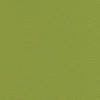 Emu Farbe Grün Matt